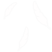 天使の羽