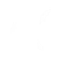 天使の羽3